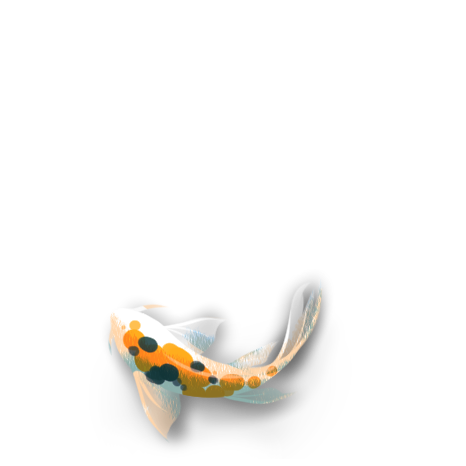 koi